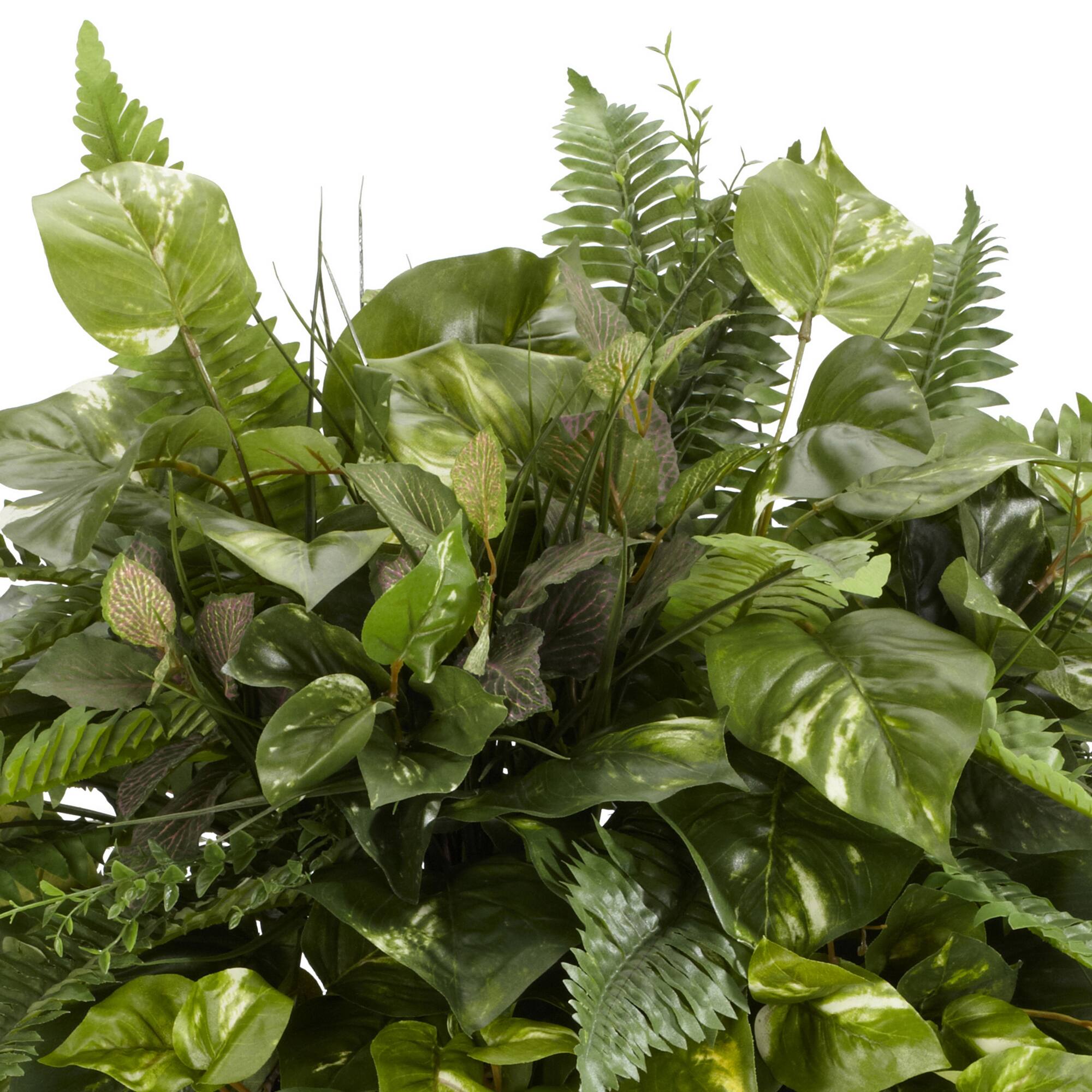 3ft. Vining Mixed Greens Plant in Decorative Stand
